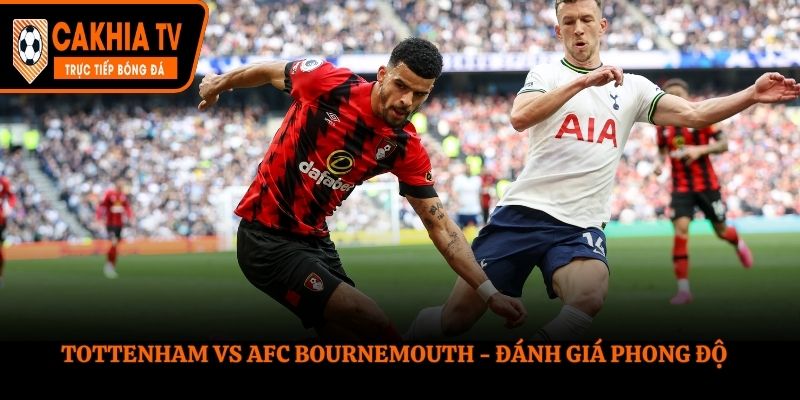 Soi kèo Tottenham Hotspur vs AFC Bournemouth - đánh giá phong độ