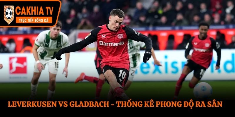 Leverkusen vs Gladbach - thống kê phong độ ra sân